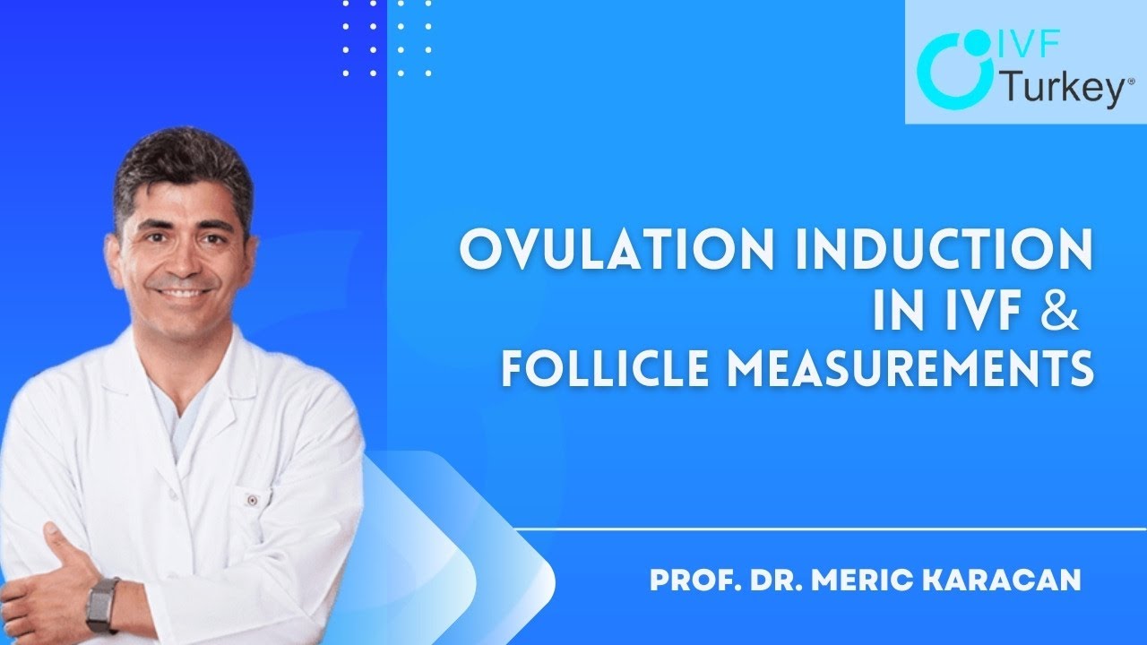 Ovulation Induction in IVF and Follicle Measurements  IVF Turkey