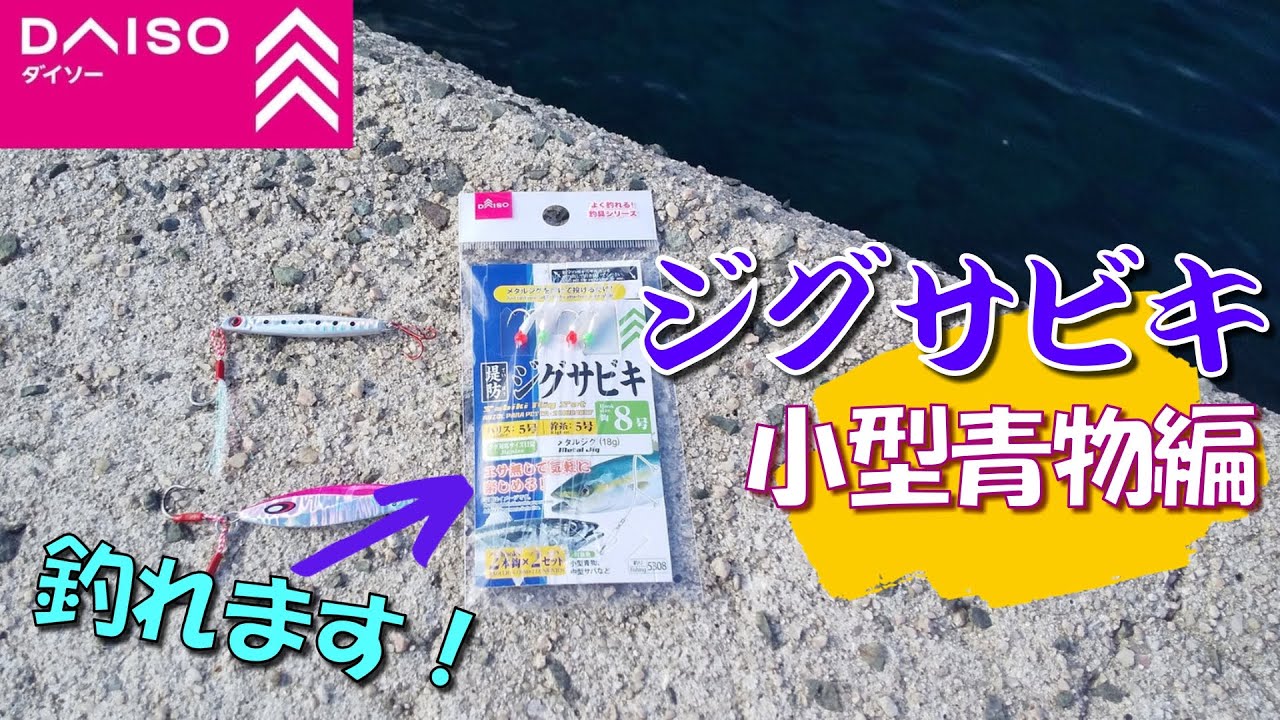 【驚愕！】ダイソー漁具などを使ったジグサビキで青物釣りに行ってきました！ジグサビキならではの楽しい釣りになりました！【釣り方解説】