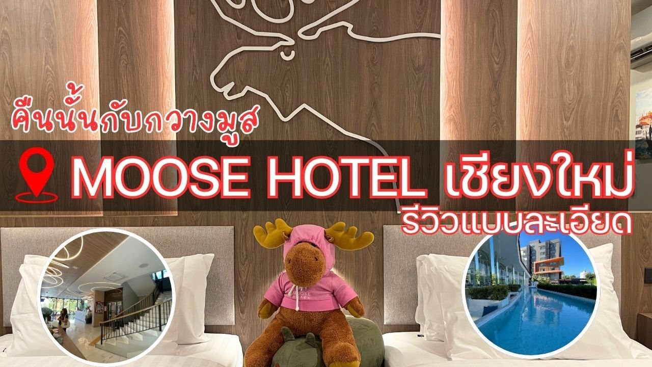 รีวิว Moose Hotel เชียงใหม่ | นอนกับกวางมูส! ห้องพักสวย อาหารเช้าดี ควรพักไหม?