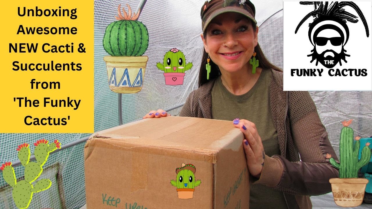 Unboxing AWESOME NEW Cacti & Succulents from 'The Funky Cactus' #cacti #cactus