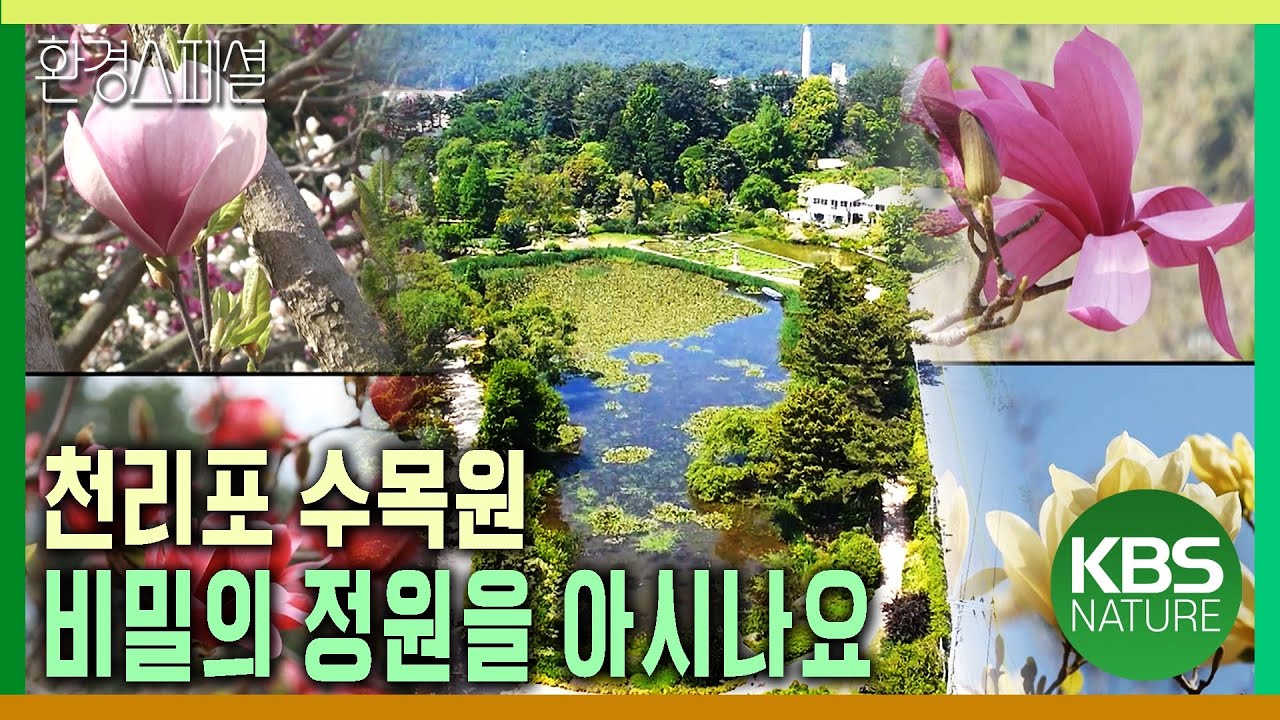 천리포 수목원 비밀의 정원을 아시나요 [KBS특선-천리포 수목원 사계] / KBS 20140810 방송
