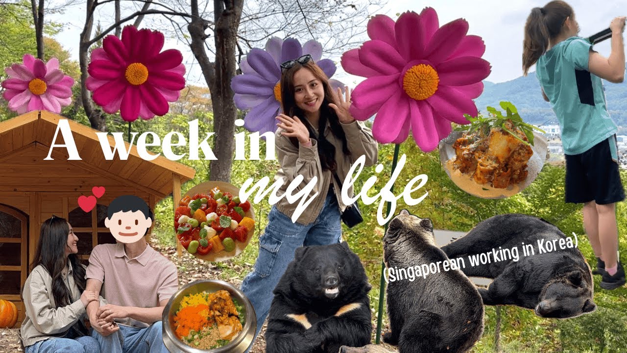VLOG | A Week in My Life (foreigner working in Korea)