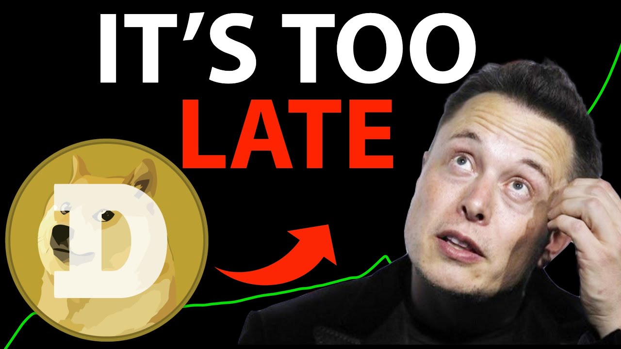 MULTI- LAYER BRIDGE! LAST CHANCE TO BUY DOGE!  DOGECOIN LATEST UPDATE!
