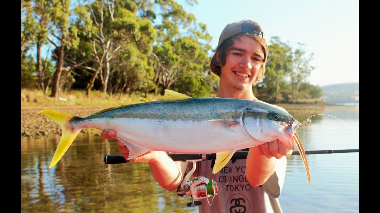 SOUTHERN TASSIE KINGS