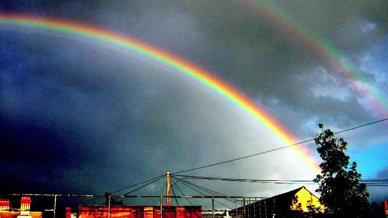 The Science of Rainbows