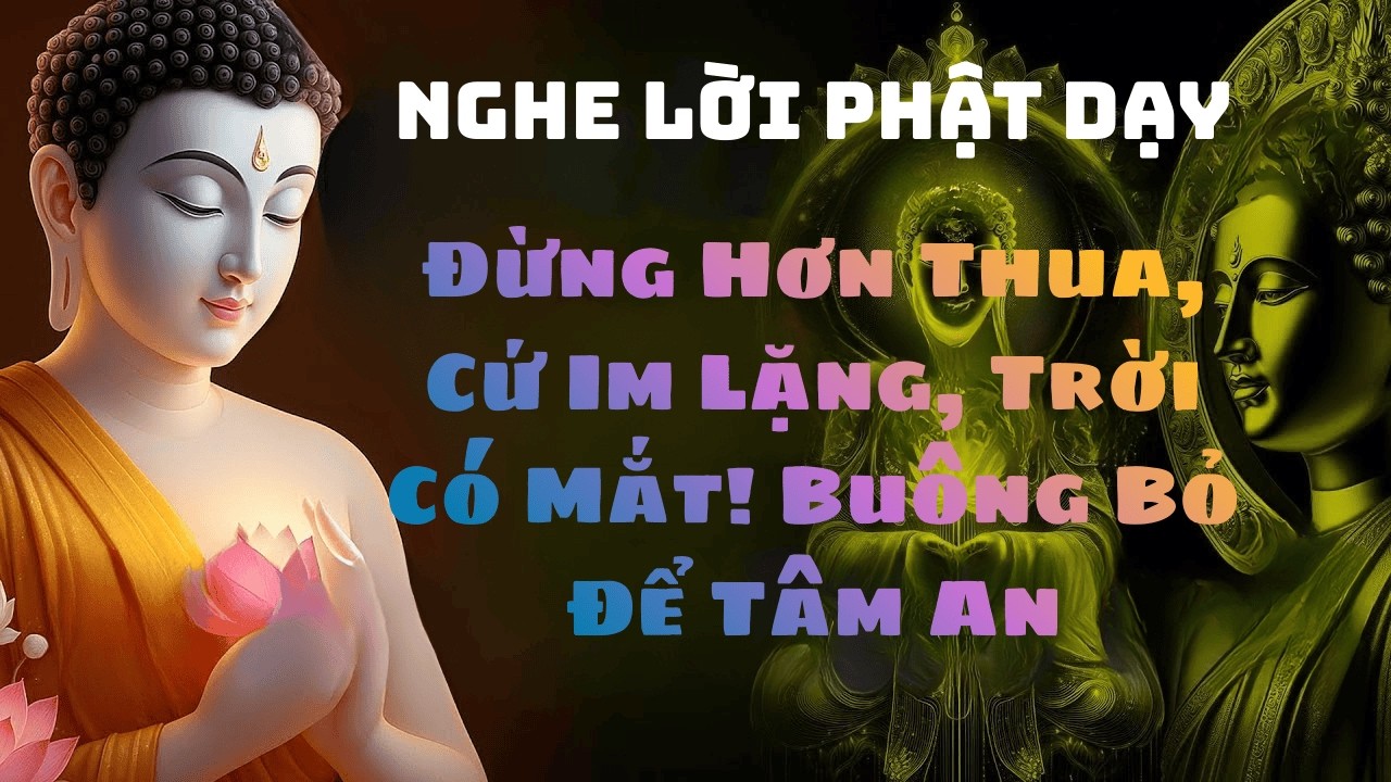 Đừng Hơn Thua – Cứ Im Lặng, Trời Có Mắt! Buông Bỏ Để Tâm An#phat phap an nhien #loi phat day #phat