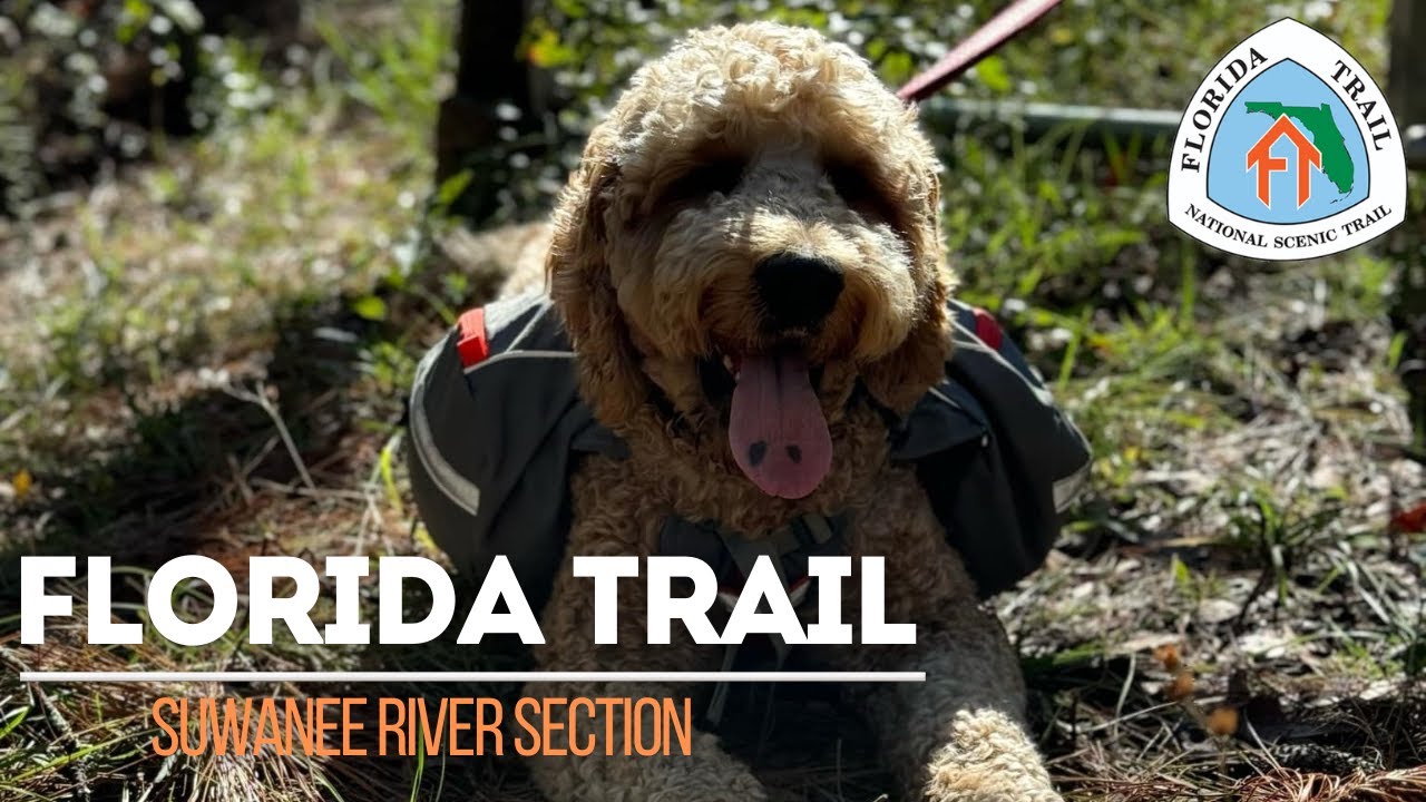 Freezing Weather Day 2 - Florida Trail - Suwanee River Section