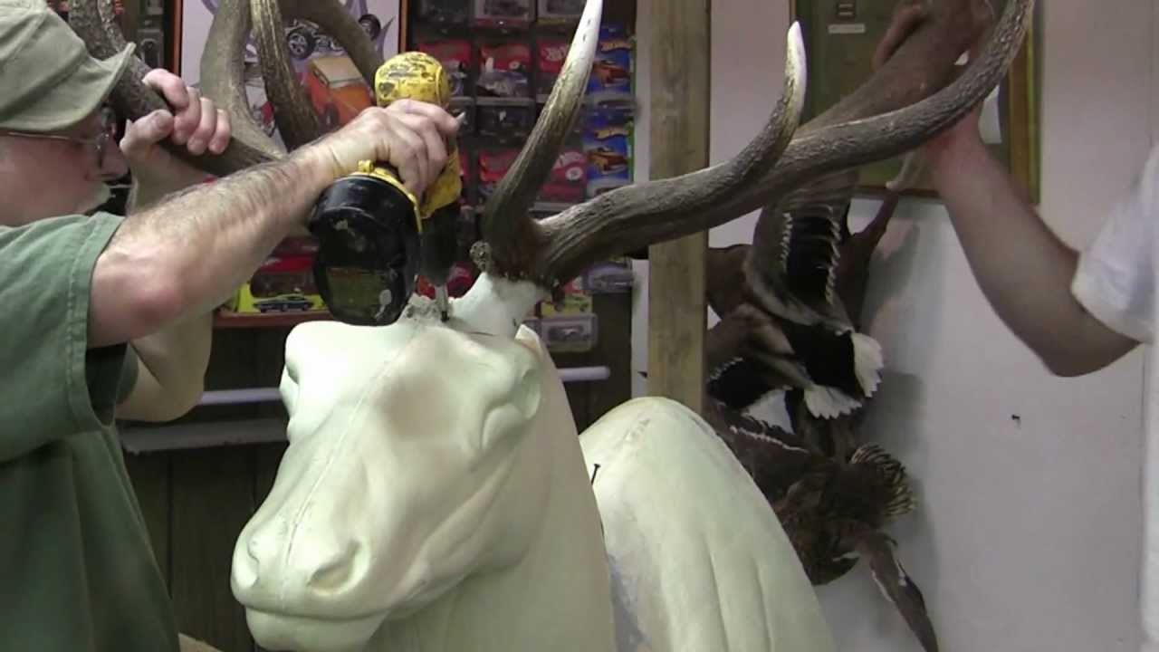 Testa's Tuesday Tips - Elk Alteration