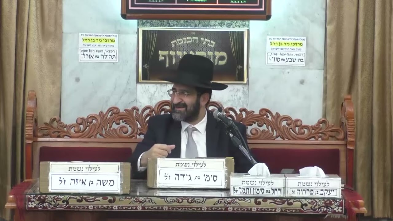 הרב אייל שרגא  •  פרפראות לפרשת לך לך תשפ'ה