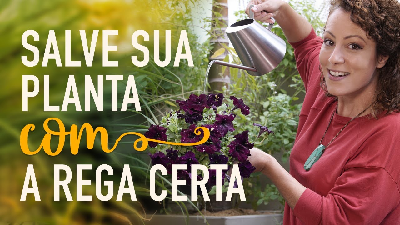 REGA sem SEGREDOS com a dica do DEDÔMETRO