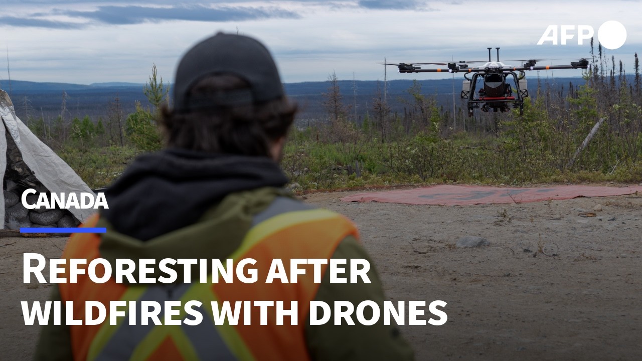 Canada turns to drones for reforestation after wildfires | AFP
