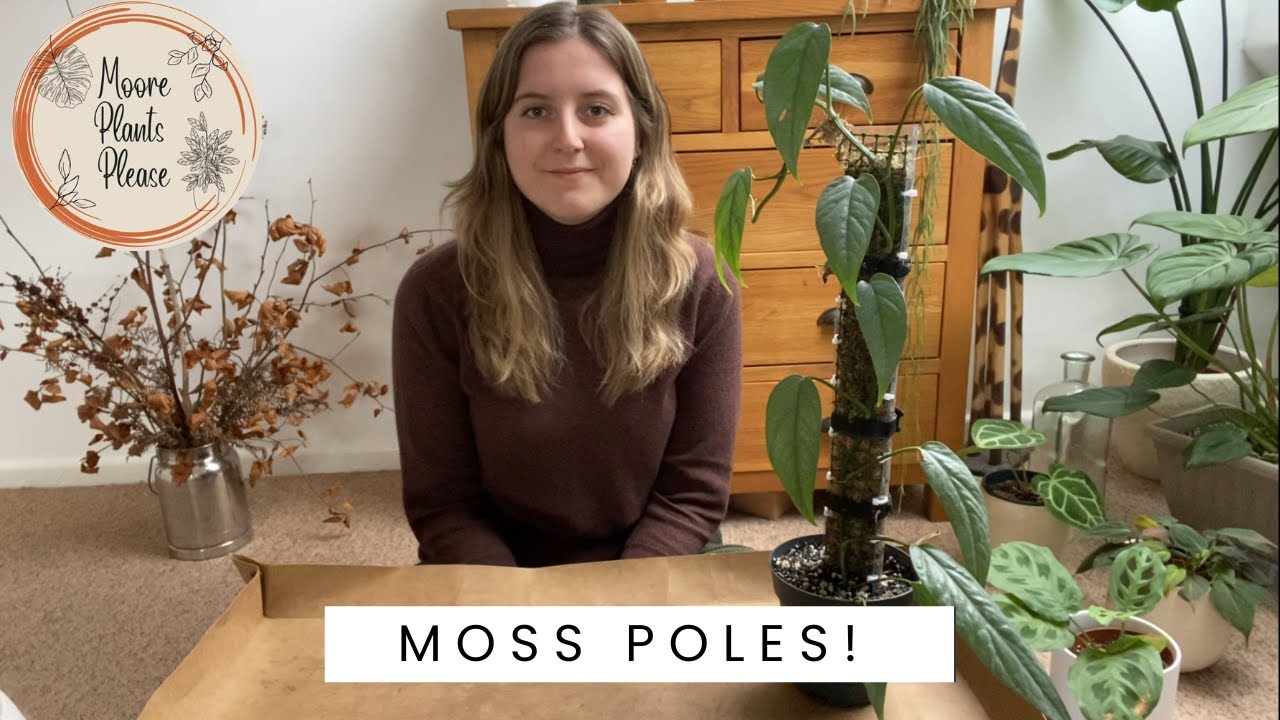 Moss Poles!! 🌿