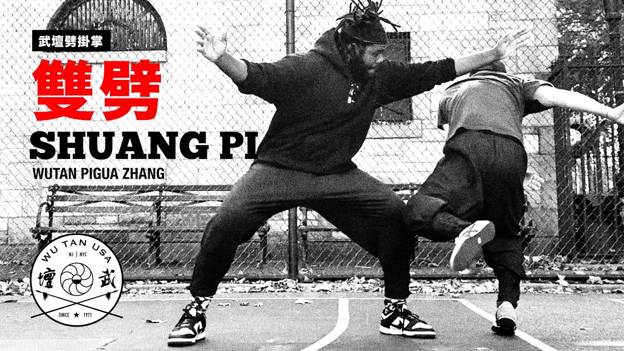 武壇劈掛掌「雙劈」應用 WuTan Pigua Zhang “Shuang Pi” Application