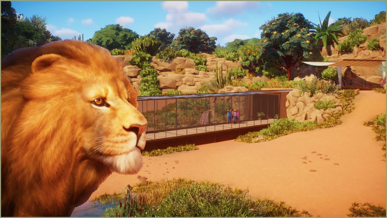 🦁 Lion habitat with a glass tunnel | Majah Zoo | Planet Zoo | speedbuild 🌵