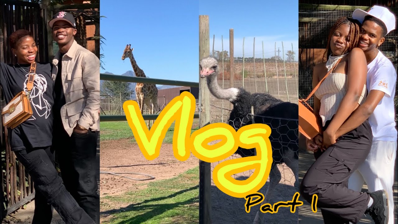 MINI ROAD TRIP VLOG [giraffe🦒house] #couples #roadto2k #friends