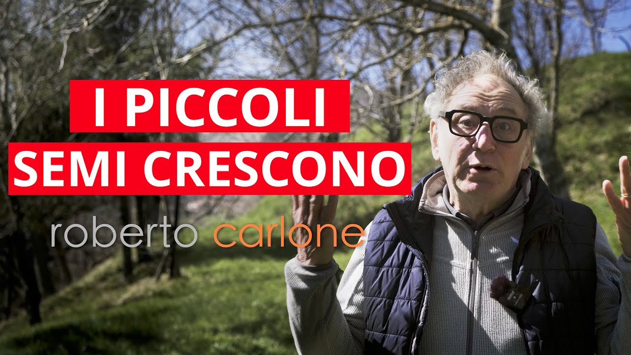 I piccoli semi crescono