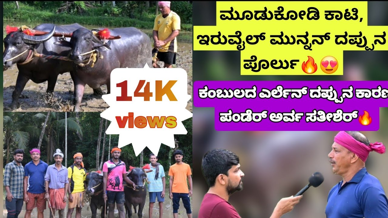 ಕಂಬುಲ ಆಯಿ ಬೊಕ Mudukodi Kaati ಎಂಚ ಉಲ್ಲೆ ತೂಲೆ!🔥 ಮೂಡುಕೋಡಿ ಕಾಟಿ, ಇರುವೈಲ್ ಮುನ್ನನ್ ದಪ್ಪುನ ಪೊರ್ಲು ತೂಲೆ🔥😍