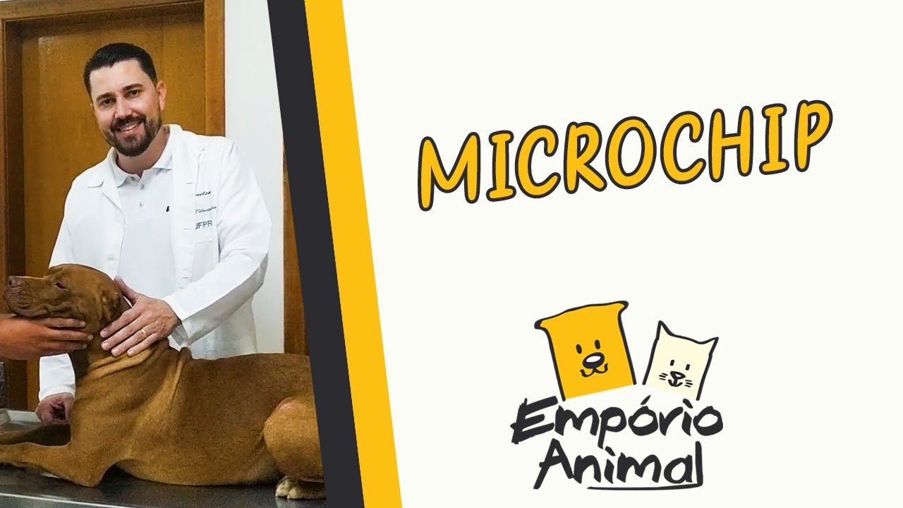 Como colocar microchip no seu pet - por Samuca e Duda DPK