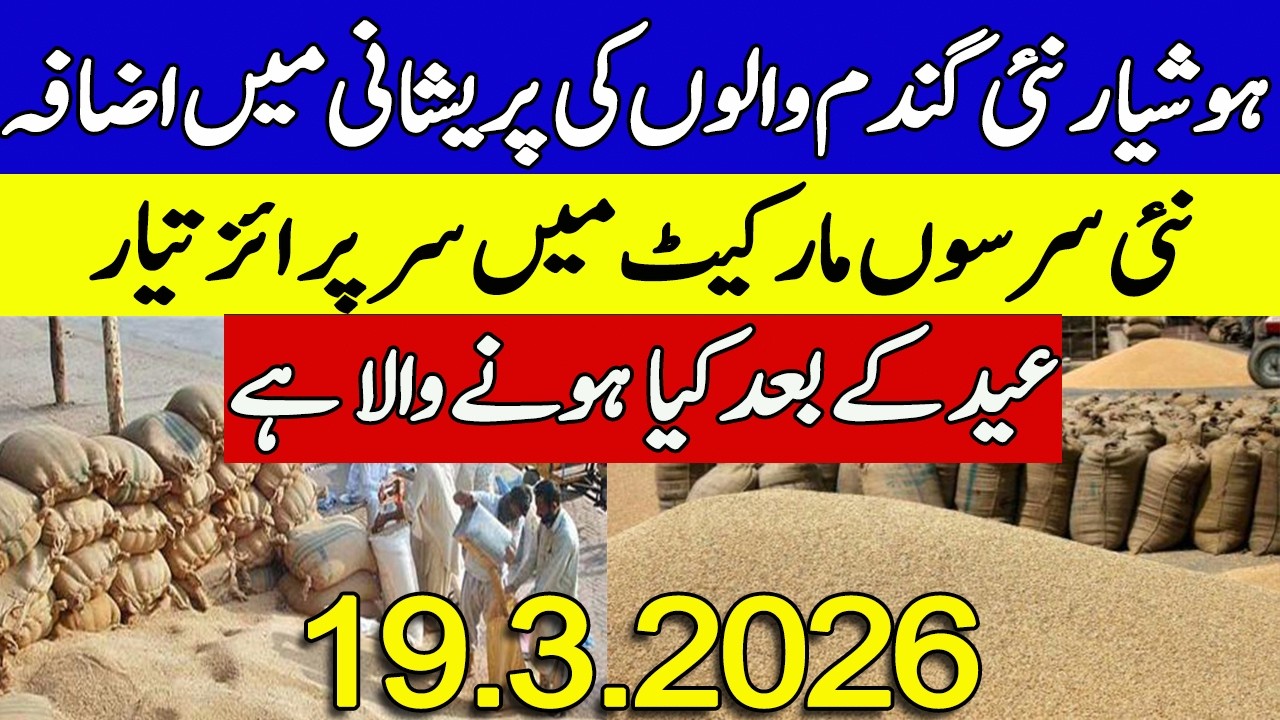 New Gandum Rates Today ! Wheat Support Price 2026 ! Srson Rates
