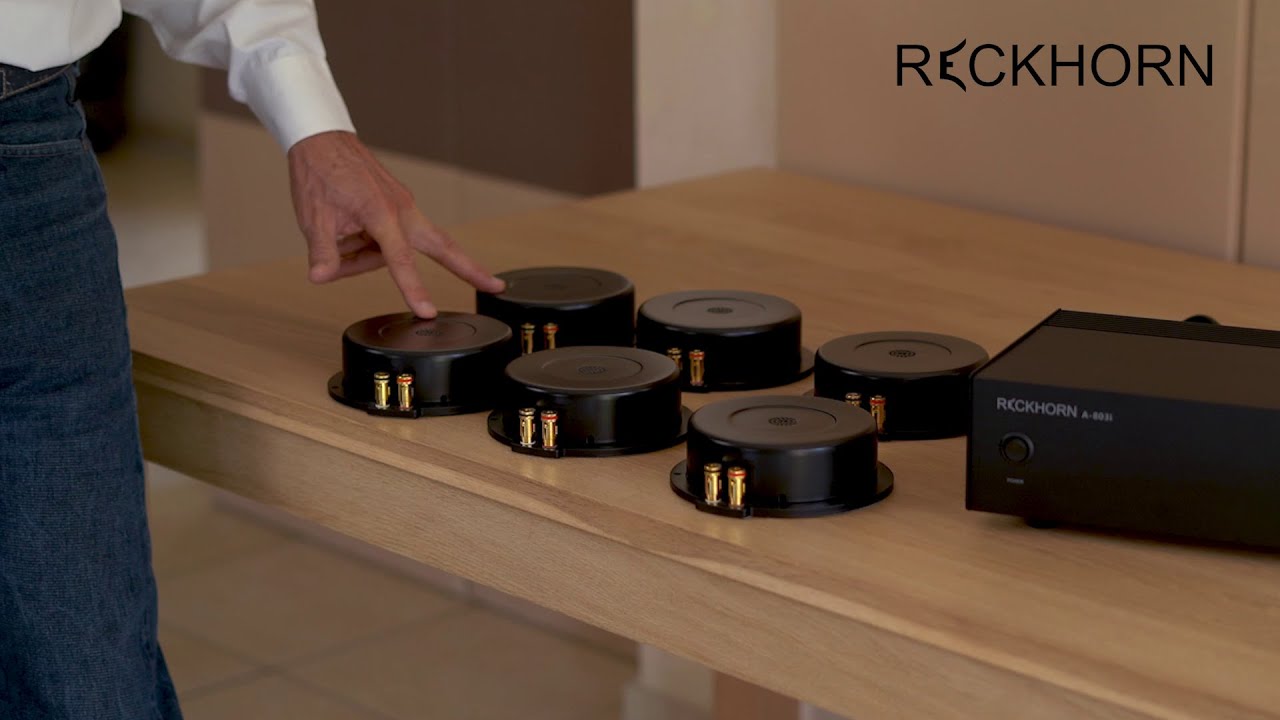 Reckhorn Bass Shaker in Verbindung mit dem A-803 Verstärker