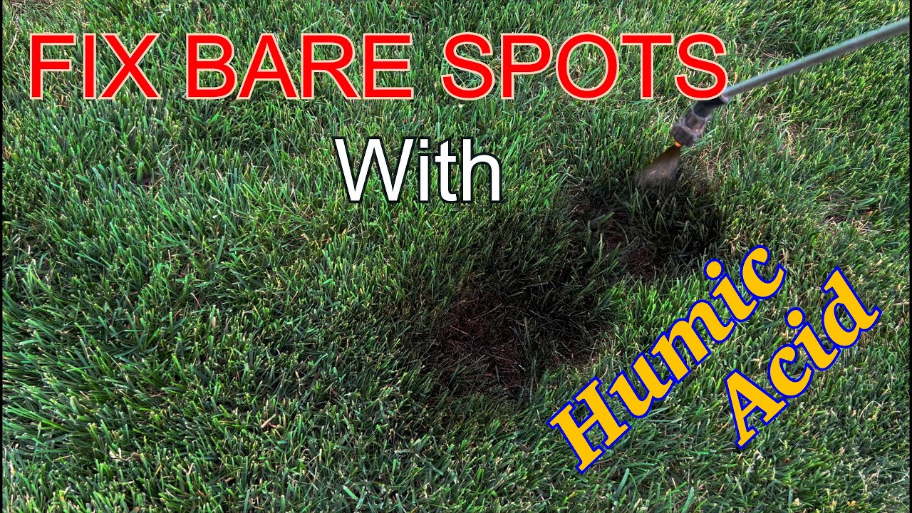 Lawn Patch Filler - Paint It Black With Humic12 (Humic Acid)