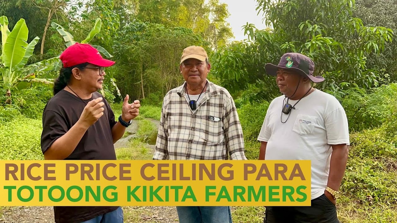 Ano ang Rice Price Ceiling para Totoong Kikita ang mga Pinoy Rice Farmer?