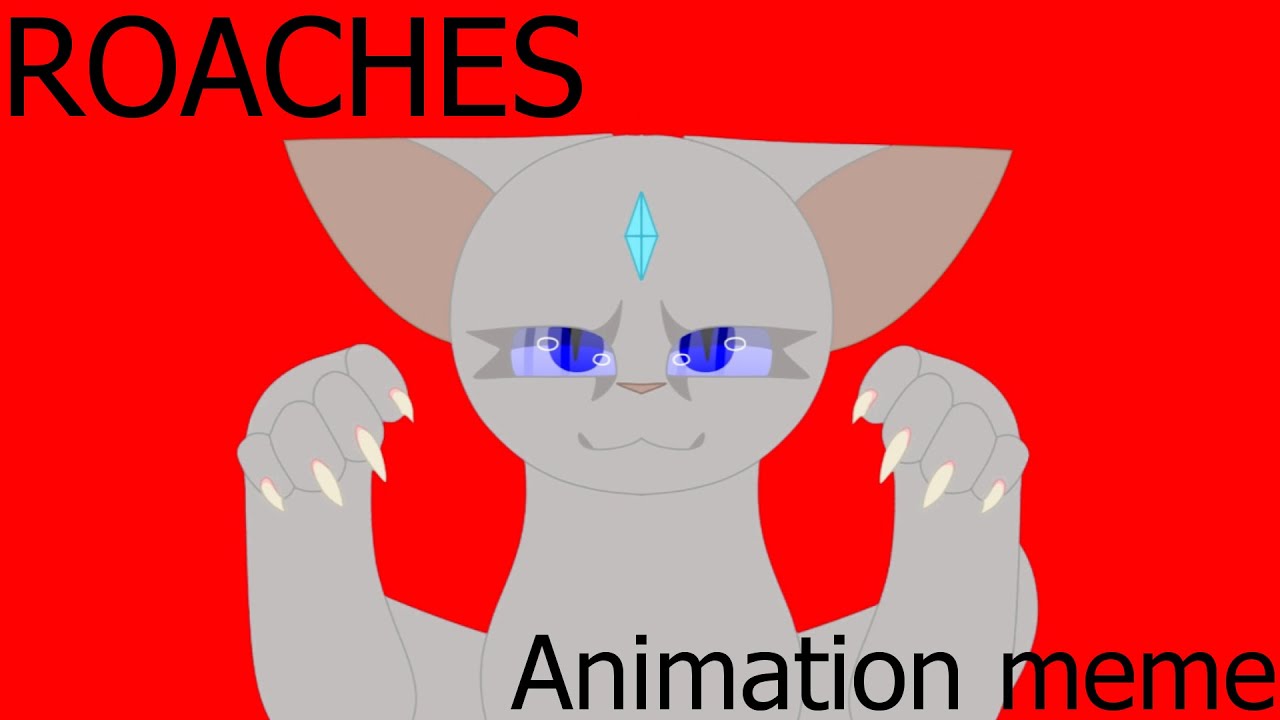 ROACHES // animation meme