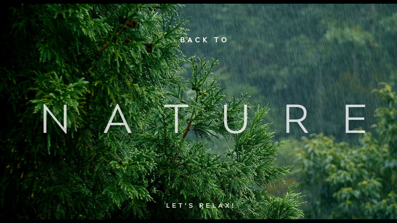 Soft Rain & Birds Sounds – Relaxing Nature Ambience | ASMR for Deep Relaxation, Focus & Sleep