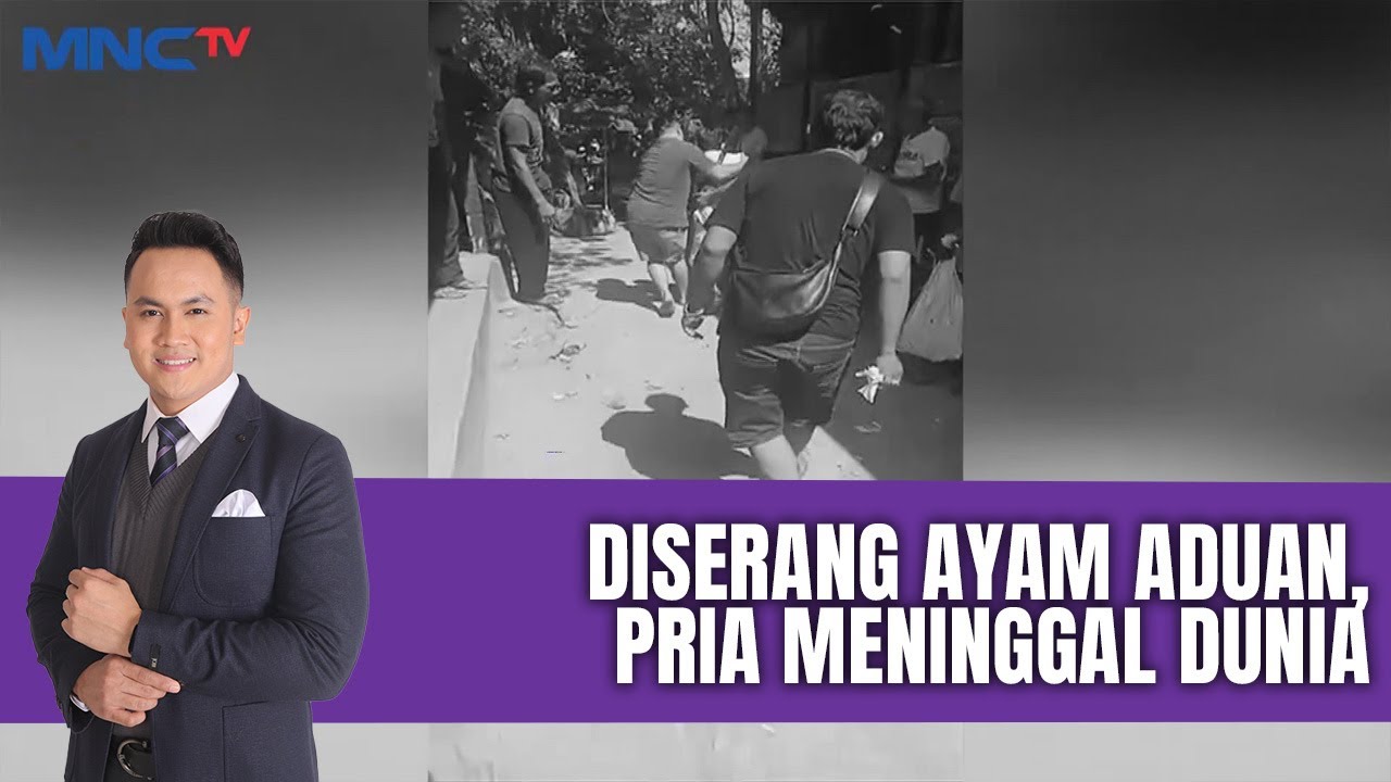 Pria Meninggal Diserang Ayam Aduan | LIS | 31/07