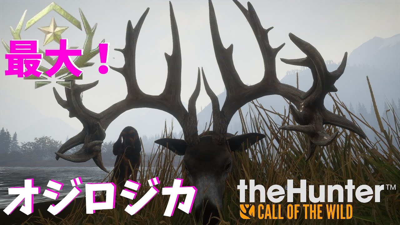 【theHunter Call of the Wild】 Part.47 オジロジカ 初のグレートワン獲得！ #3（レイトン湖水地方）