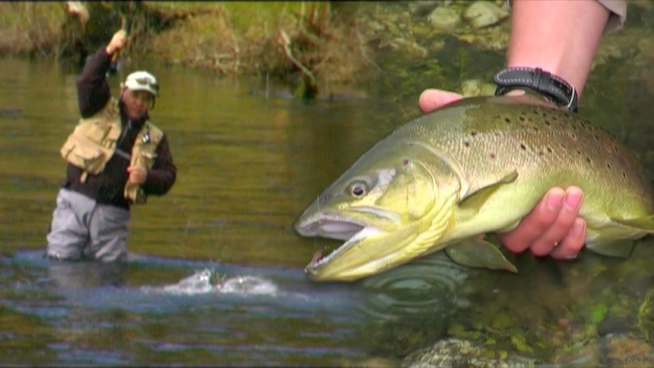 Mušičarenje na reci Ribnik 2 | Fly fishing on river Ribnik