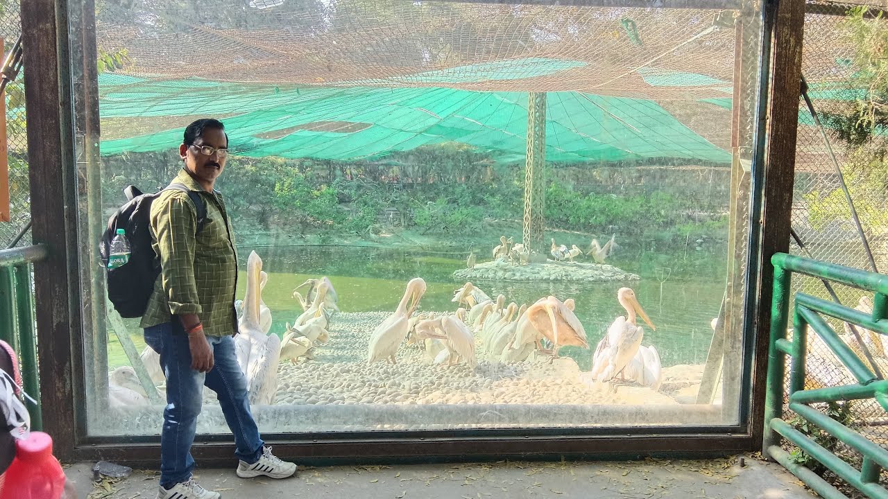 KING_RAJ_PANDEY लाइव है! good morning my you tube family
