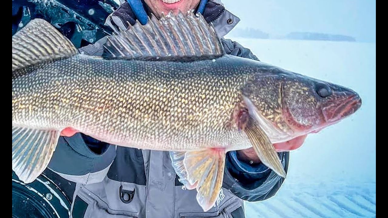 5 Ice Fishing Walleye Tips