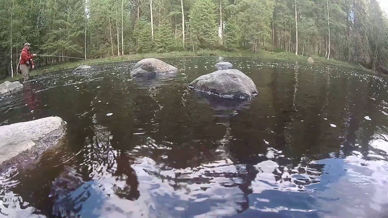 Niemisjoki, Ähtäri