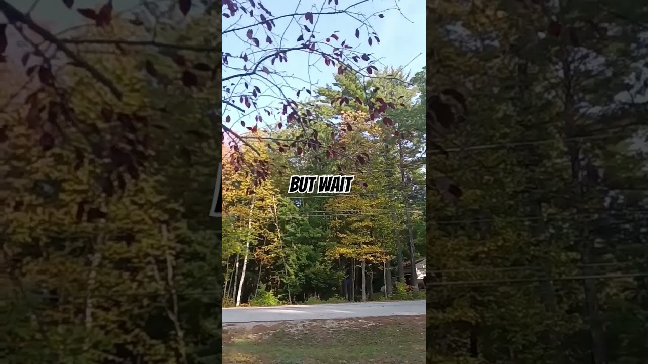 Is that leaf lagging