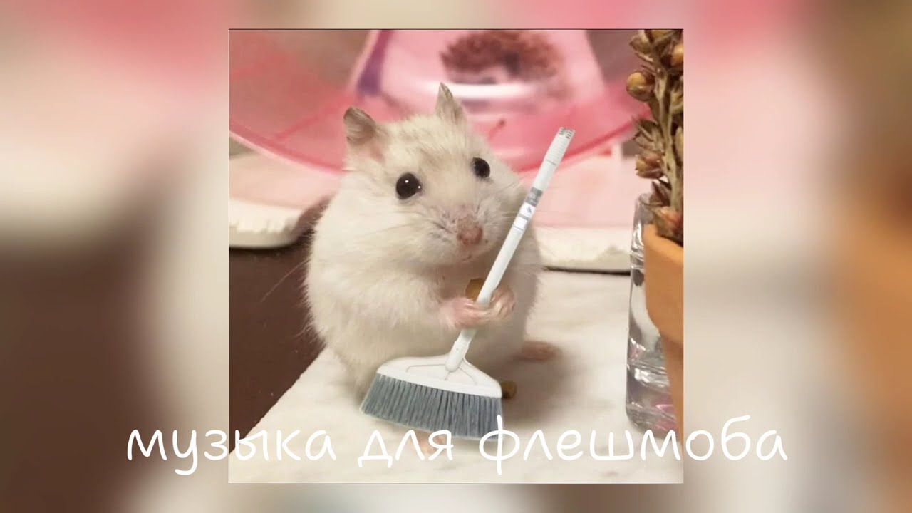 Музыка для флешмоба #14 летний