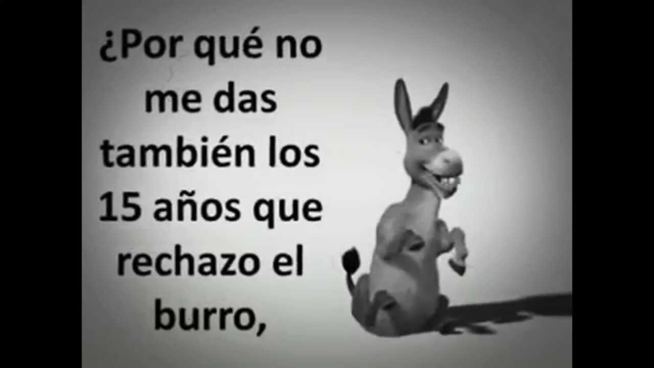La paradoja de la vida