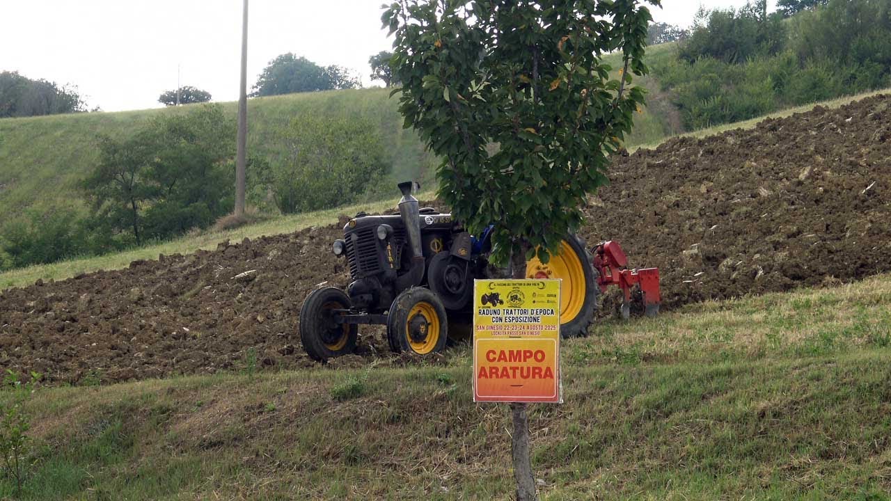 Aratura  a Ripe San Genesio 24 agosto 2025