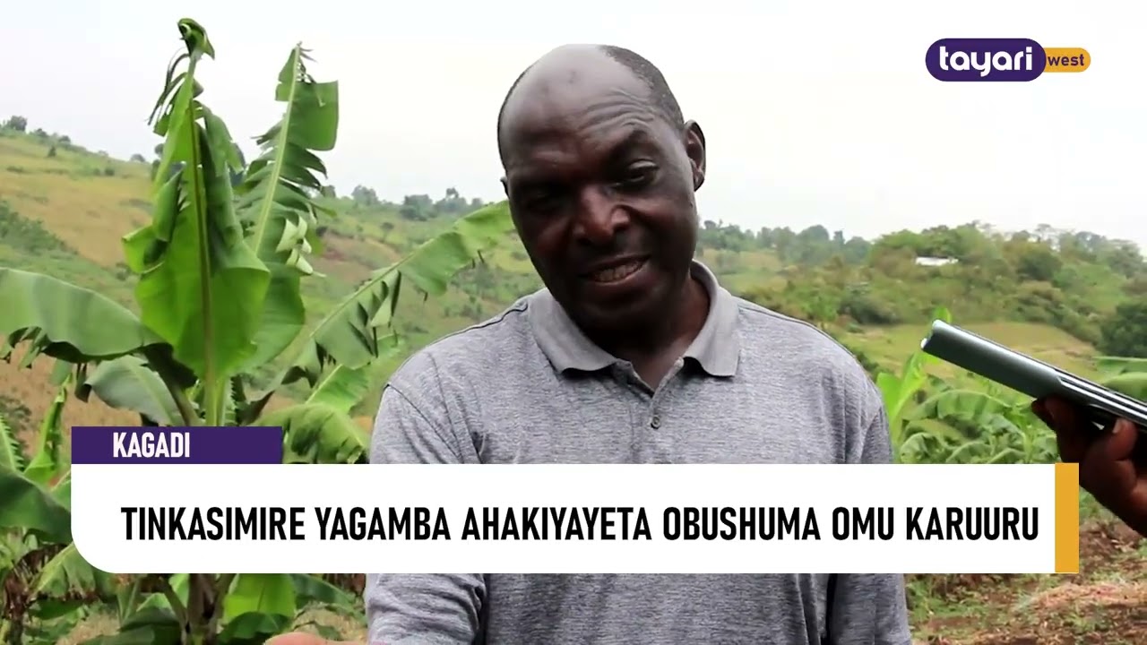 #AGENSHONGA: TINKASIMIRE YAGAMBA AHAKIYAYETA OBUSHUMA OMU KARUURU - KAGADI