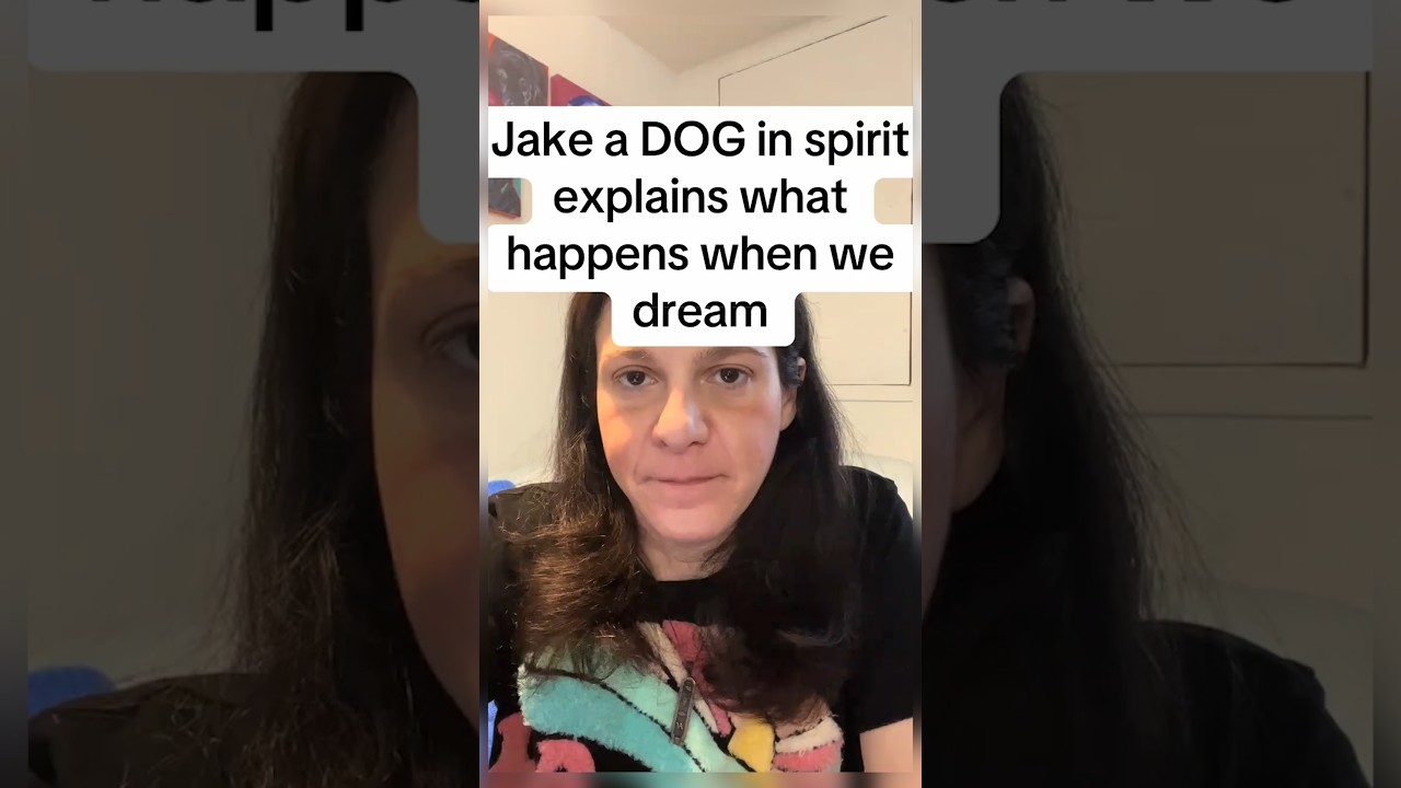 Jake a DOG in spirit explains what happens when we dream