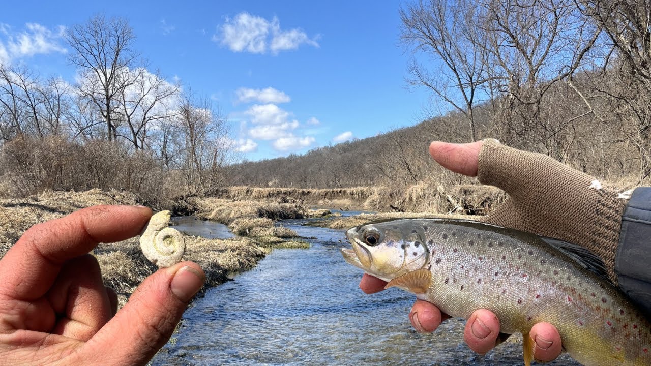 Trout & Fossils In The Driftless Region! 