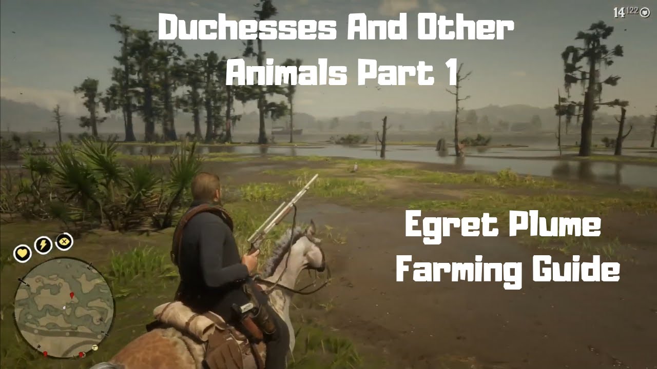 RDR2 - Duchesses And Other Animals Part 1 - Egret Plume Guide