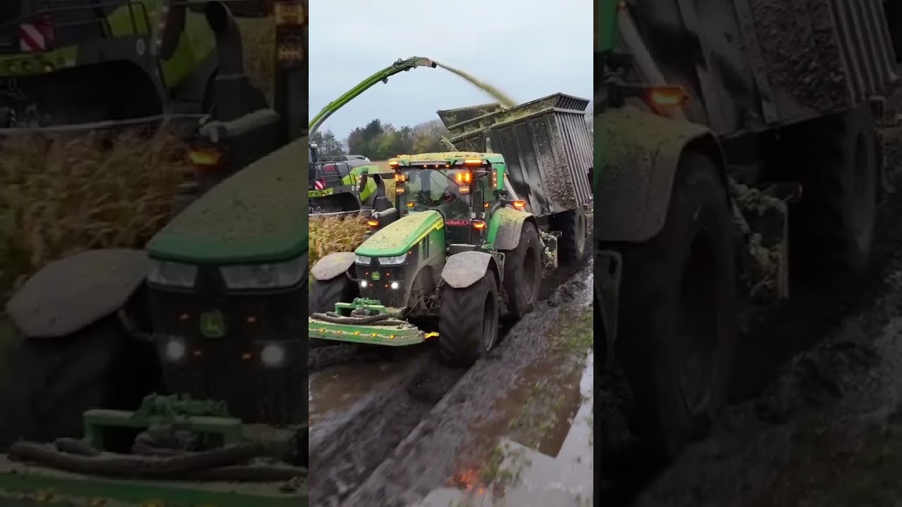 Muddy Silage 🔥👌 | 📽Cr : @JP Agrar | #landwirtschaft #agriculture #agro #land #fendt #johndeere #mud