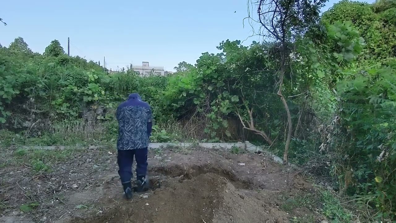穴掘　Digging
