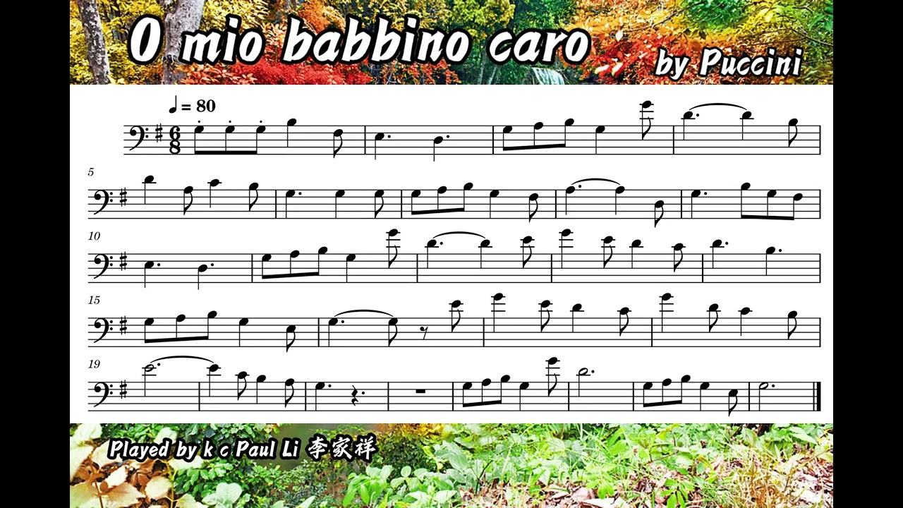 O mio babbino caro (Accomp.for Cello)