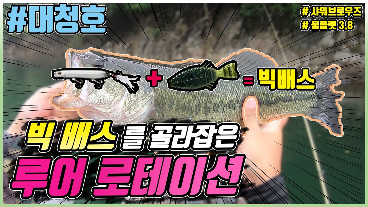 대청호 큰 배스만 골라잡은 초여름 루어 로테이션, 배스낚시 [물아래 사기꾼]EP.34