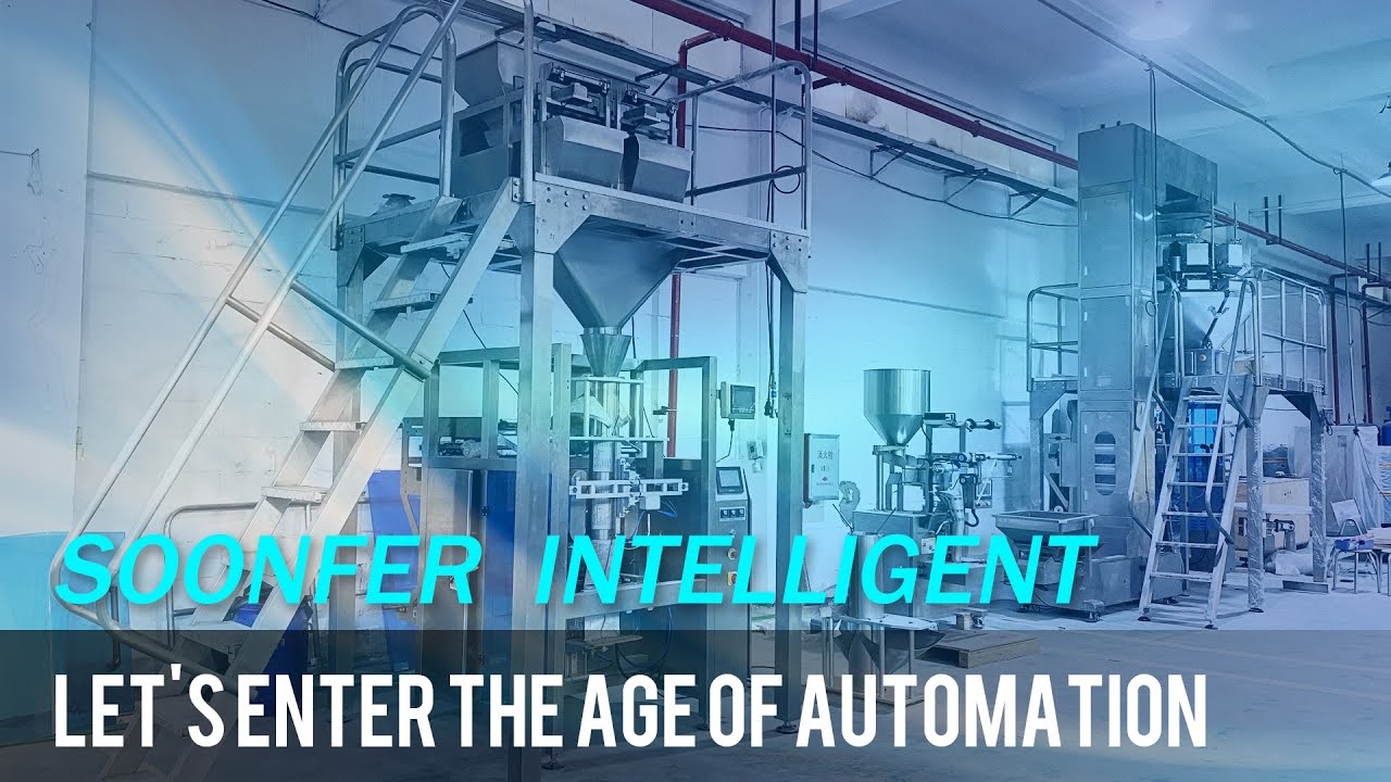 Soonfer Intelligent Equipment Company Profile