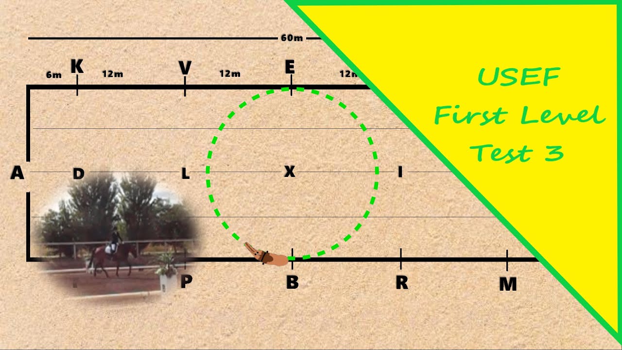 2019 USEF First Level Test 3