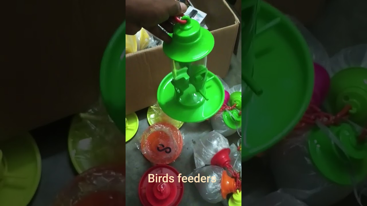 #Chittukuruvi #Pondicherry #birdsfeeder #yazhinipet