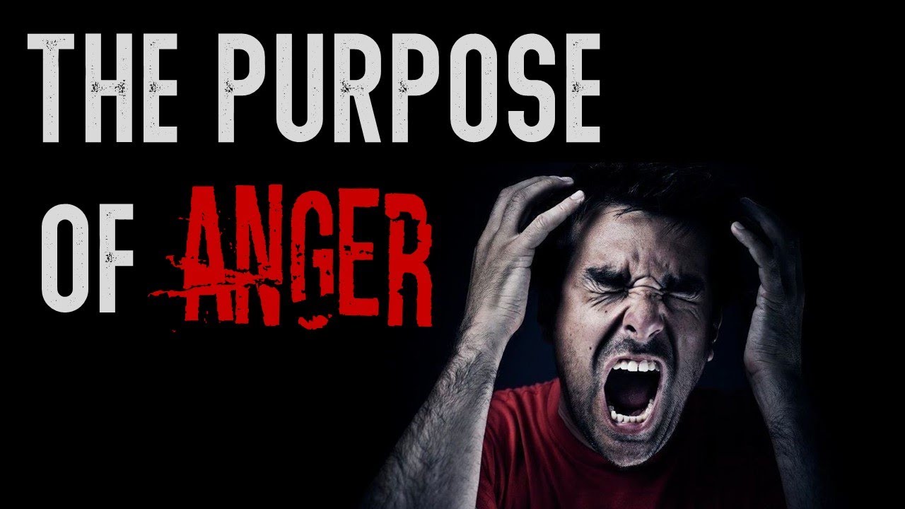 The Purpose of Anger - Why do we have this response?